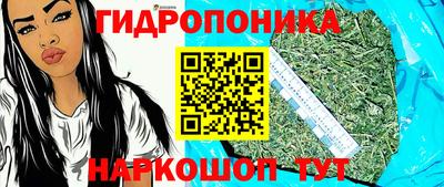 стаф Аргун
