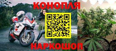 стаф Аргун