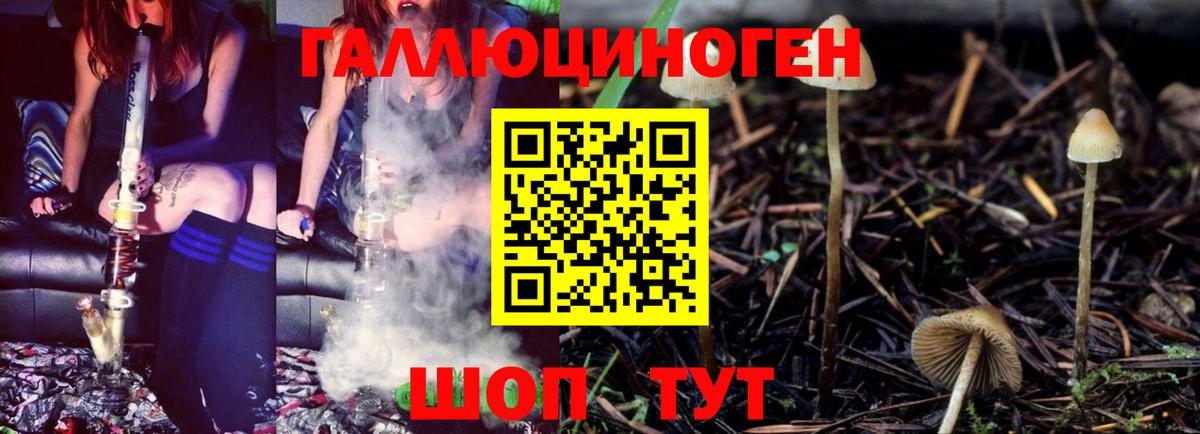 Волжский  Галлюциногенные грибы мухоморы  Галлюциногенные грибы Psilocybe  Вход с VPN 