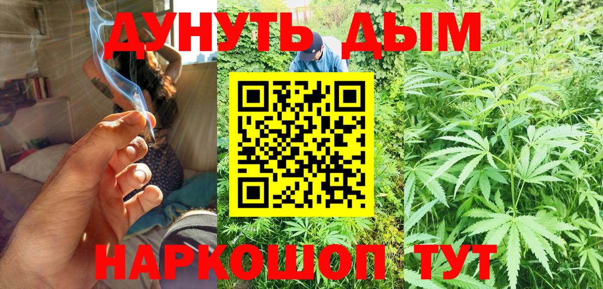 Волжский  Конопля Bruce Banner  Каннабис планчик  Вход с VPN  МАРИХУАНА сатива  Бошки марихуана планчик 